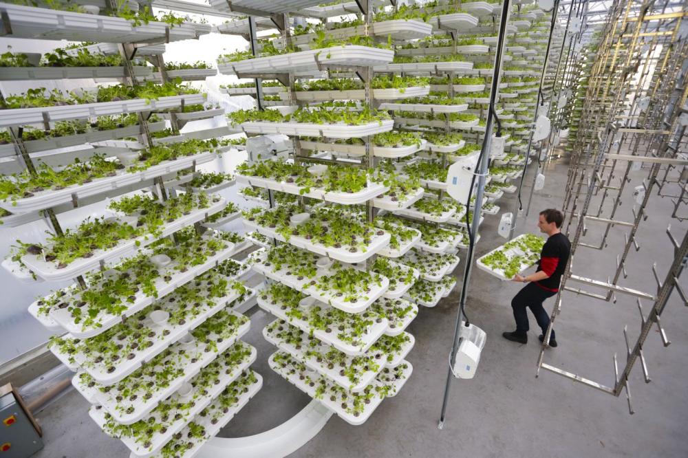 Vertical Farm
