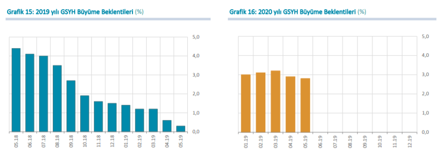 Büyüme Beklentileri