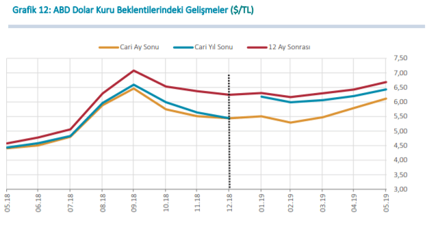 Döviz Kuru Beklentileri